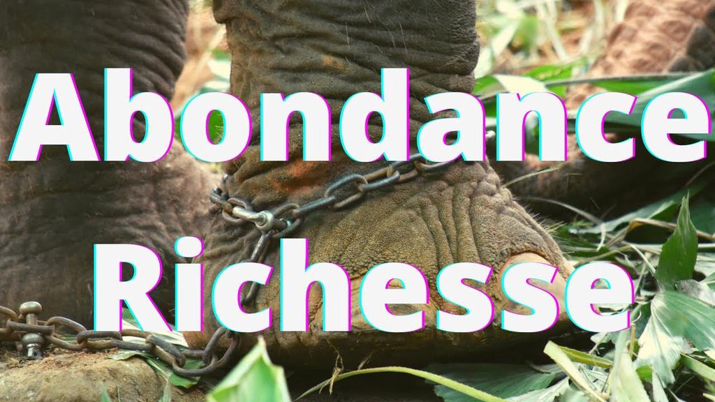 'Video thumbnail for Abondance, richesse : ce qui te bloque'