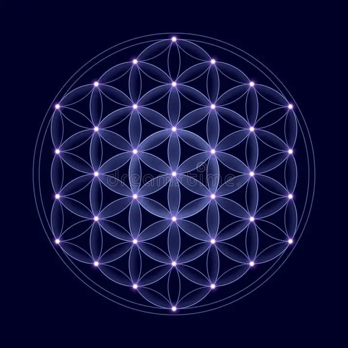 L'univers connecté : la solution de masse holographique et la source de la conscience Nassim Haramein